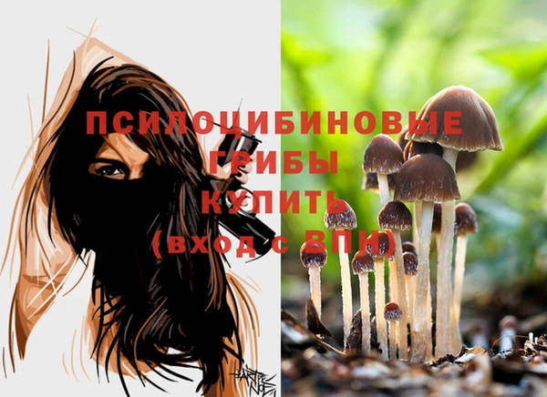 a pvp Бугульма