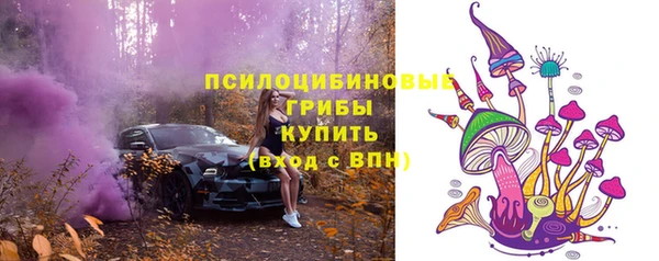 соль курить ск Бородино