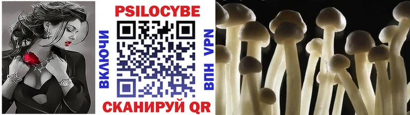 как найти закладки  Дивногорск  Галлюциногенные грибы Cubensis 
