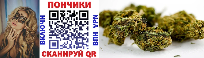 Канабис сатива  сколько стоит  Дивногорск 
